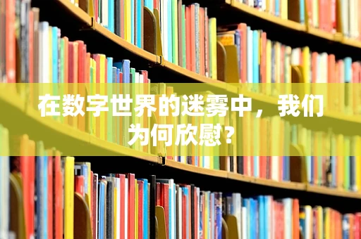 在数字世界的迷雾中，我们为何欣慰？