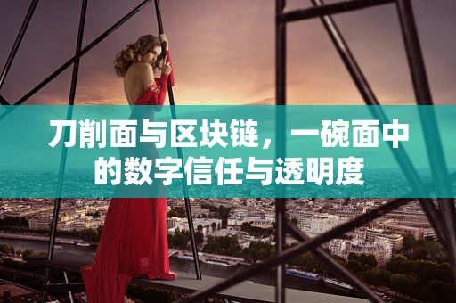 刀削面与区块链，一碗面中的数字信任与透明度