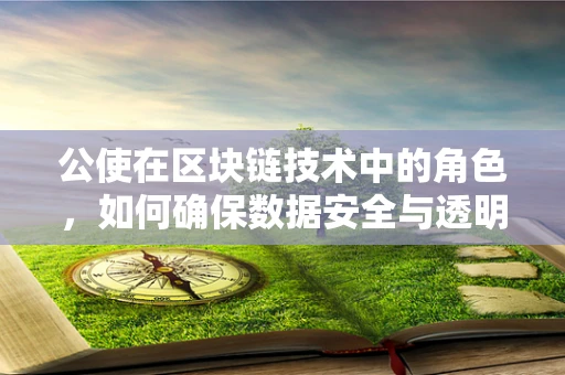 公使在区块链技术中的角色，如何确保数据安全与透明？