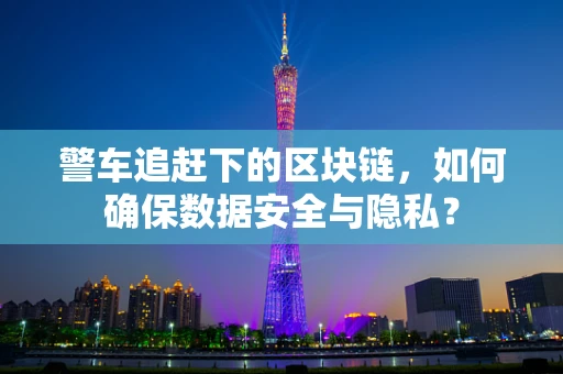 警车追赶下的区块链，如何确保数据安全与隐私？