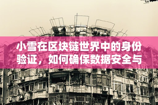 小雪在区块链世界中的身份验证，如何确保数据安全与隐私？