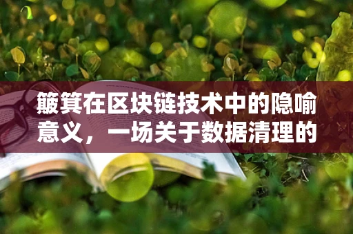 簸箕在区块链技术中的隐喻意义，一场关于数据清理的革命