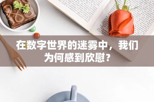 在数字世界的迷雾中，我们为何感到欣慰？