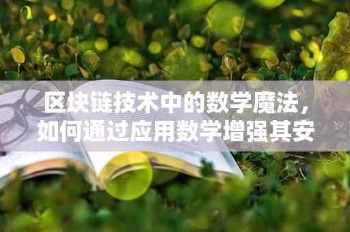 区块链技术中的数学魔法，如何通过应用数学增强其安全性和效率？