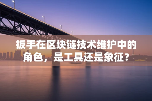 扳手在区块链技术维护中的角色，是工具还是象征？