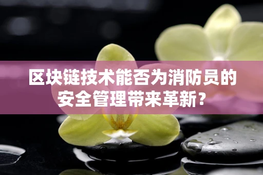 区块链技术能否为消防员的安全管理带来革新？