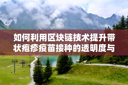 如何利用区块链技术提升带状疱疹疫苗接种的透明度与效率？