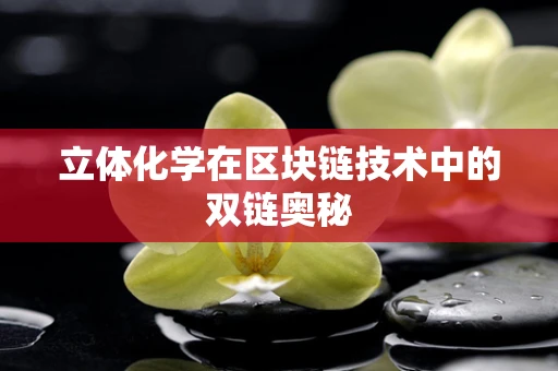 立体化学在区块链技术中的双链奥秘