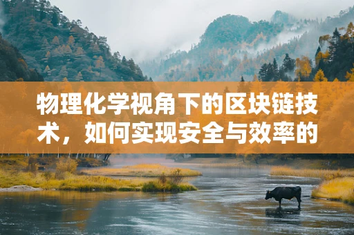 物理化学视角下的区块链技术，如何实现安全与效率的双重飞跃？