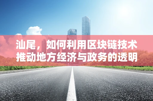 汕尾，如何利用区块链技术推动地方经济与政务的透明化？