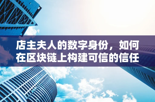 店主夫人的数字身份，如何在区块链上构建可信的信任机制？