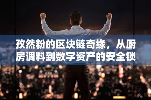 孜然粉的区块链奇缘，从厨房调料到数字资产的安全锁