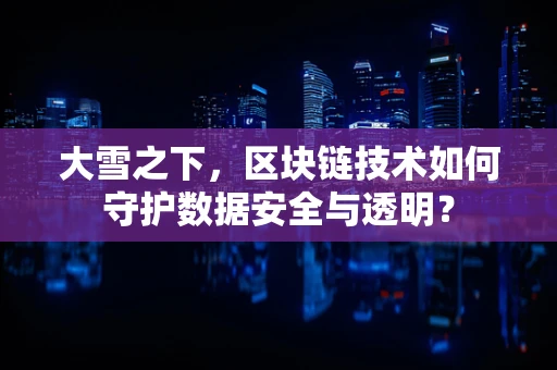 大雪之下，区块链技术如何守护数据安全与透明？