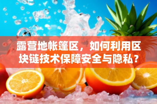 露营地帐篷区，如何利用区块链技术保障安全与隐私？