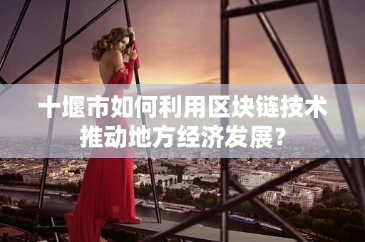 十堰市如何利用区块链技术推动地方经济发展？