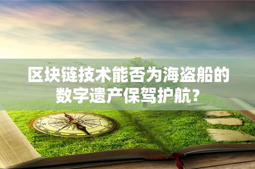 区块链技术能否为海盗船的数字遗产保驾护航？