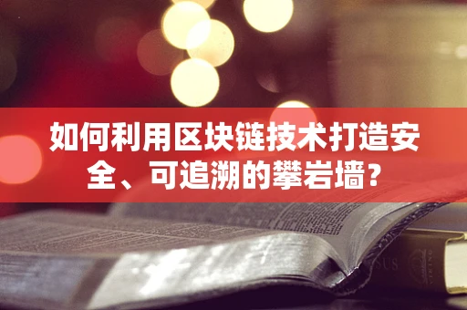 如何利用区块链技术打造安全、可追溯的攀岩墙？