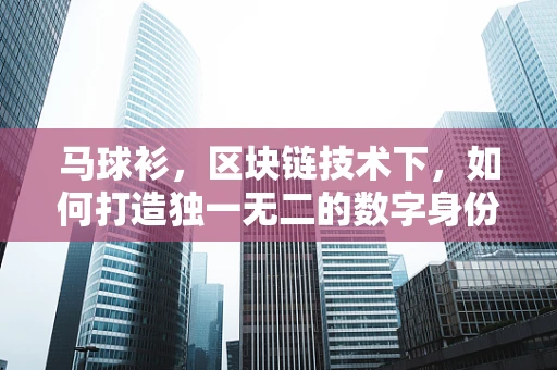 马球衫，区块链技术下，如何打造独一无二的数字身份？