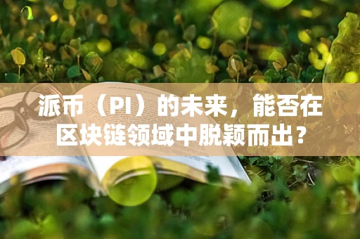 派币（PI）的未来，能否在区块链领域中脱颖而出？
