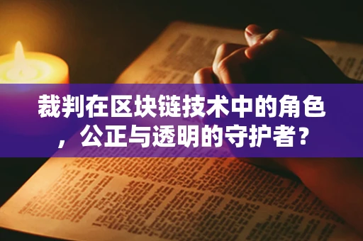 裁判在区块链技术中的角色，公正与透明的守护者？