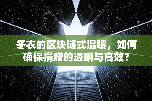 冬衣的区块链式温暖，如何确保捐赠的透明与高效？