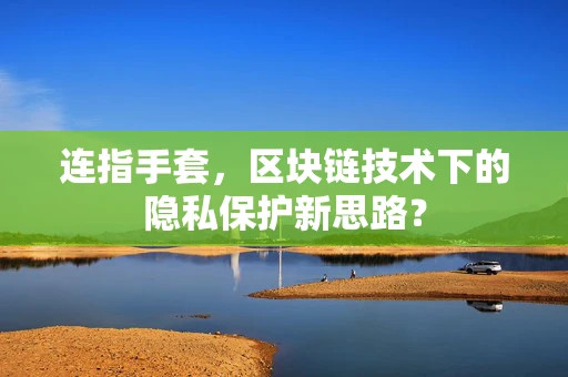 连指手套，区块链技术下的隐私保护新思路？