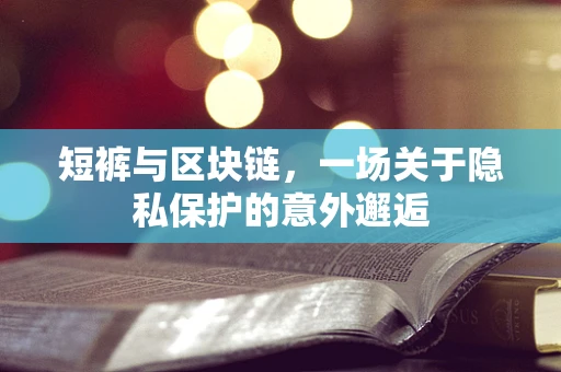 短裤与区块链，一场关于隐私保护的意外邂逅
