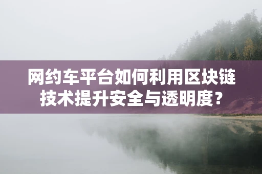网约车平台如何利用区块链技术提升安全与透明度？
