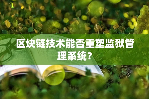 区块链技术能否重塑监狱管理系统？
