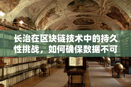 长治在区块链技术中的持久性挑战，如何确保数据不可篡改的永恒性？