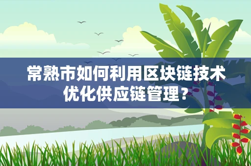 常熟市如何利用区块链技术优化供应链管理？