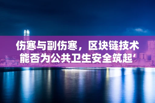 伤寒与副伤寒，区块链技术能否为公共卫生安全筑起‘数字防火墙’？