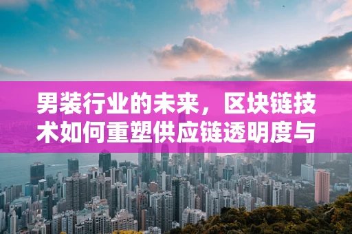 男装行业的未来，区块链技术如何重塑供应链透明度与消费者信任？