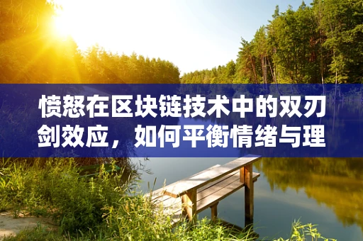 愤怒在区块链技术中的双刃剑效应，如何平衡情绪与理性决策？