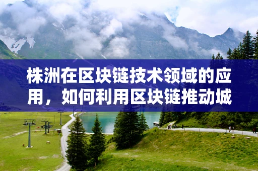 株洲在区块链技术领域的应用，如何利用区块链推动城市数字化转型？