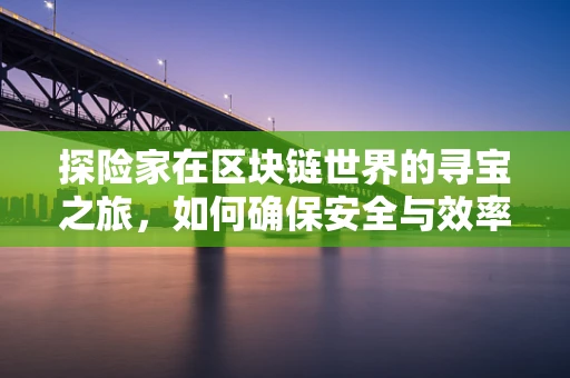 探险家在区块链世界的寻宝之旅，如何确保安全与效率？