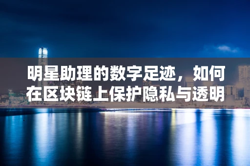 明星助理的数字足迹，如何在区块链上保护隐私与透明度？