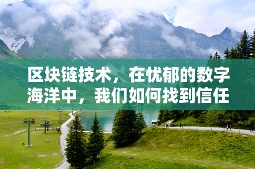 区块链技术，在忧郁的数字海洋中，我们如何找到信任的灯塔？