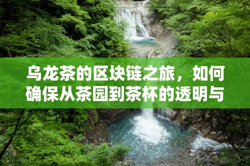 乌龙茶的区块链之旅，如何确保从茶园到茶杯的透明与安全？