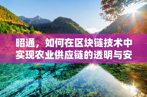 昭通，如何在区块链技术中实现农业供应链的透明与安全？