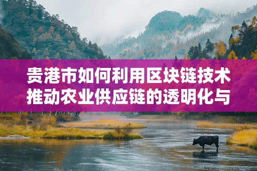 贵港市如何利用区块链技术推动农业供应链的透明化与效率提升？