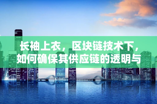 长袖上衣，区块链技术下，如何确保其供应链的透明与安全？