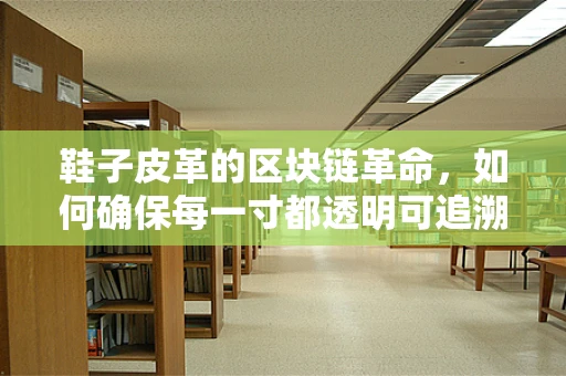 鞋子皮革的区块链革命，如何确保每一寸都透明可追溯？