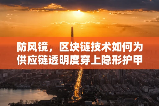 防风镜，区块链技术如何为供应链透明度穿上隐形护甲？