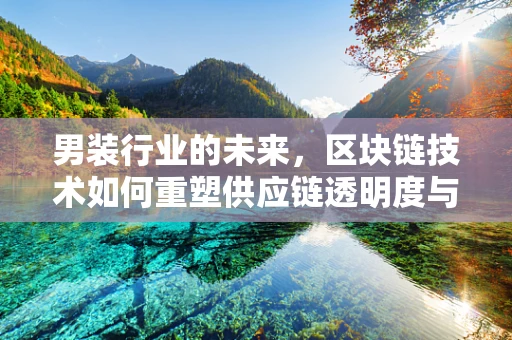 男装行业的未来，区块链技术如何重塑供应链透明度与消费者信任？