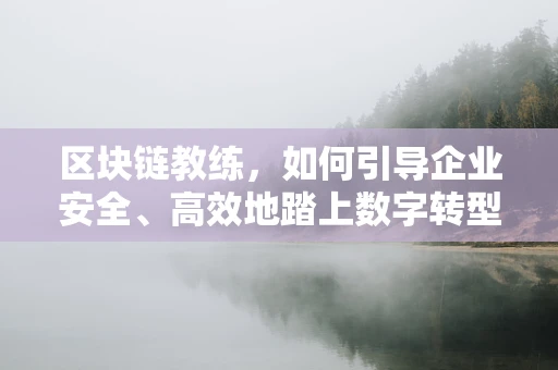 区块链教练，如何引导企业安全、高效地踏上数字转型之旅？