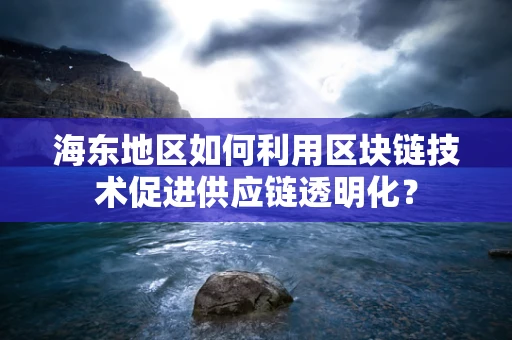 海东地区如何利用区块链技术促进供应链透明化？