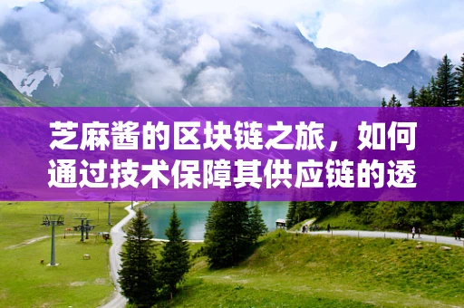 芝麻酱的区块链之旅，如何通过技术保障其供应链的透明与安全？