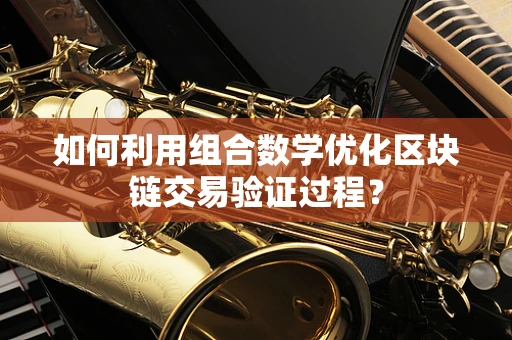 如何利用组合数学优化区块链交易验证过程？