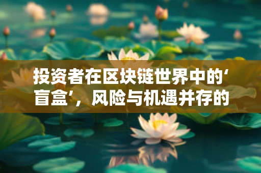 投资者在区块链世界中的‘盲盒’，风险与机遇并存的探索